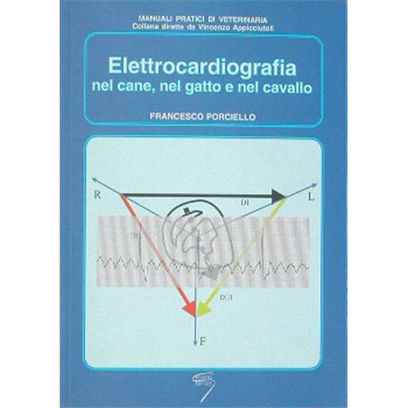 ELETTROCARDIOGRAFIA nel cane, nel gatto e nel cavallo